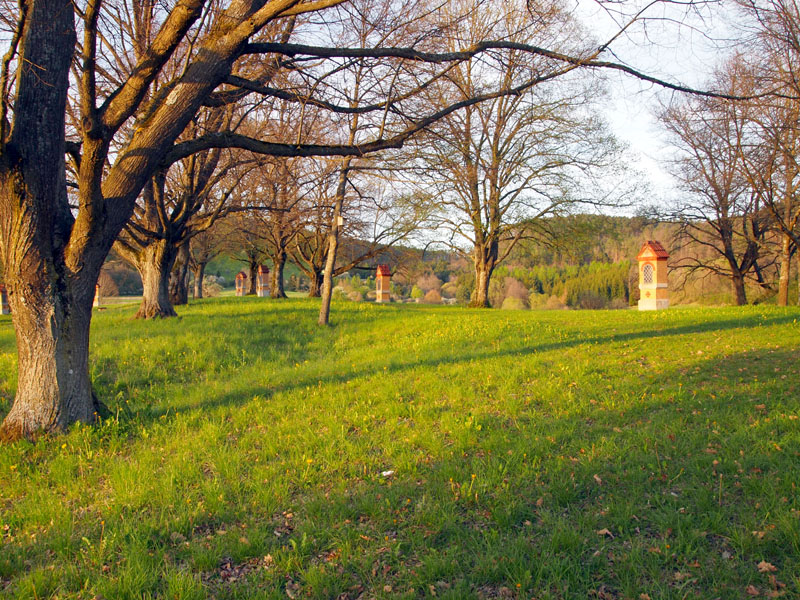 Platz-Blaicherhaeusle